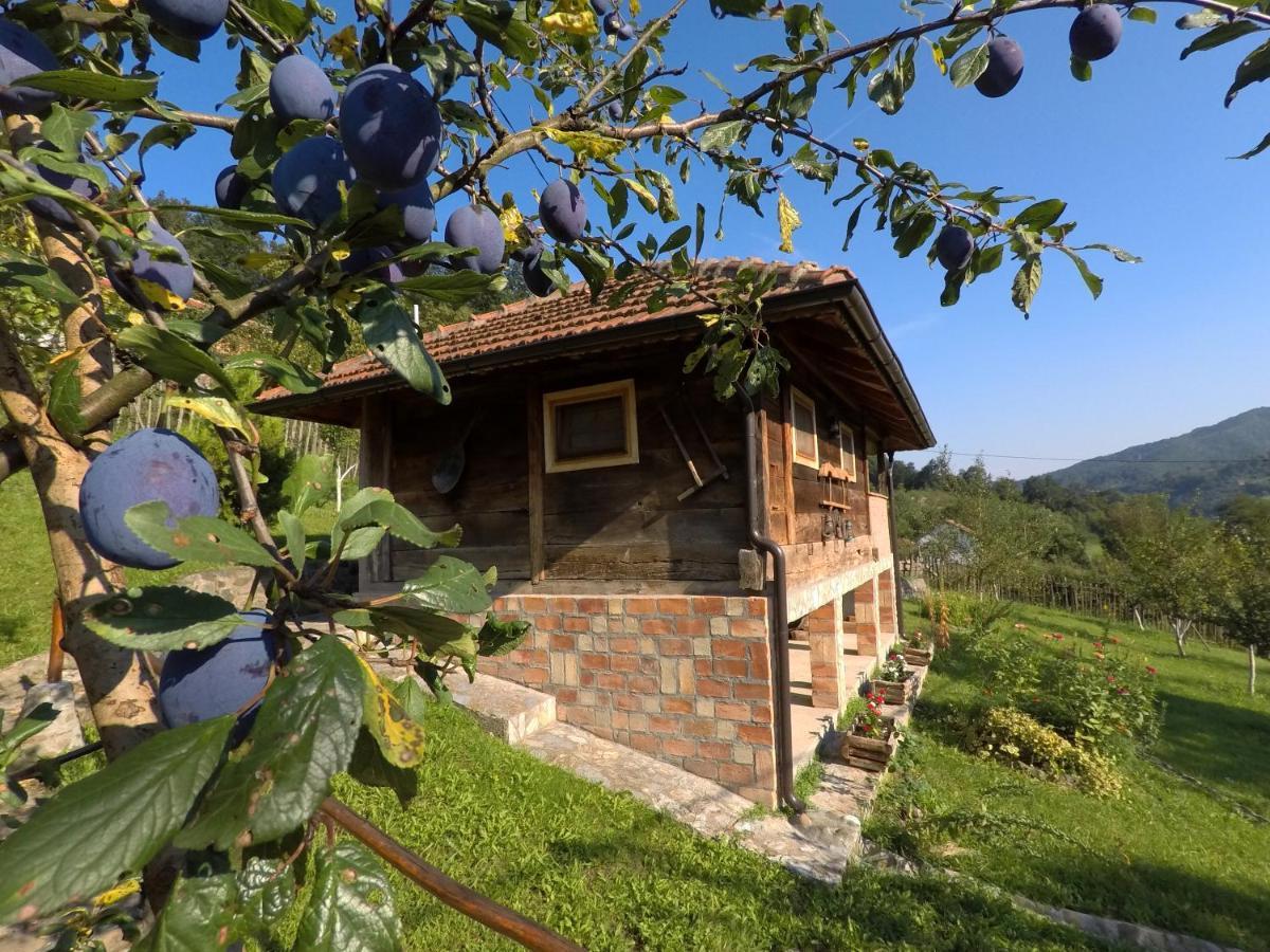 Ethno Village Bogut Bogutovac Exteriör bild