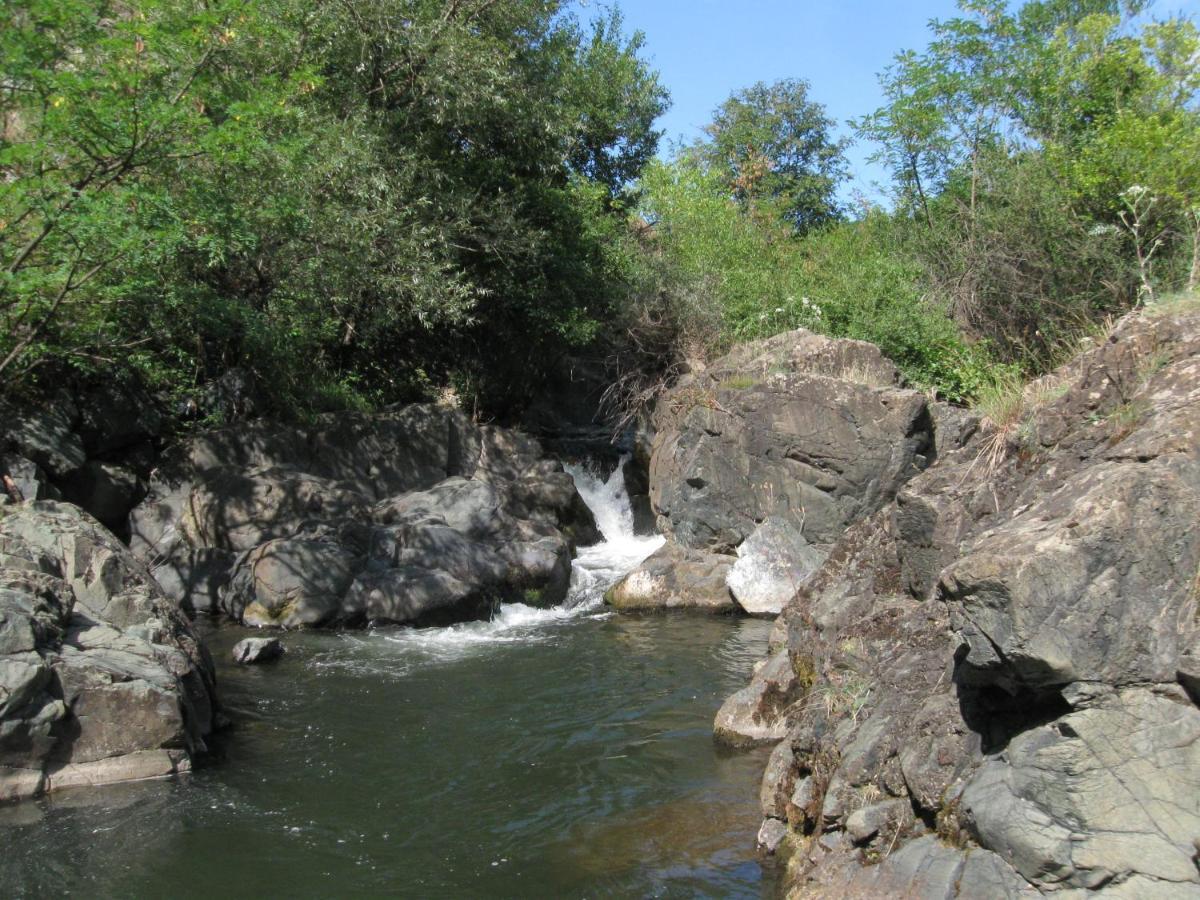 Ethno Village Bogut Bogutovac Exteriör bild