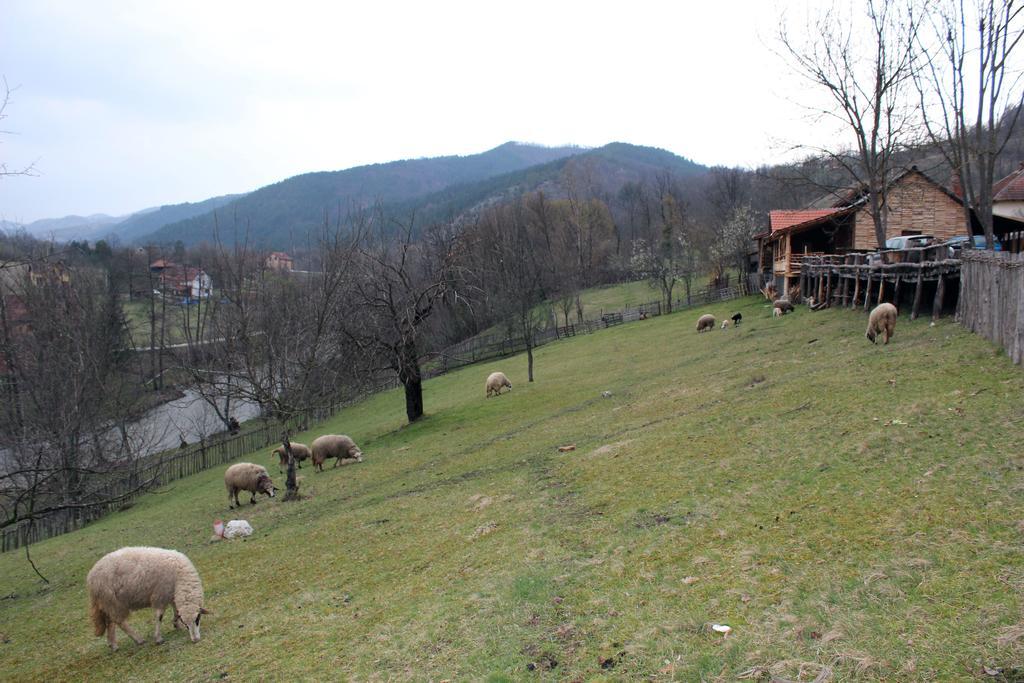 Ethno Village Bogut Bogutovac Exteriör bild