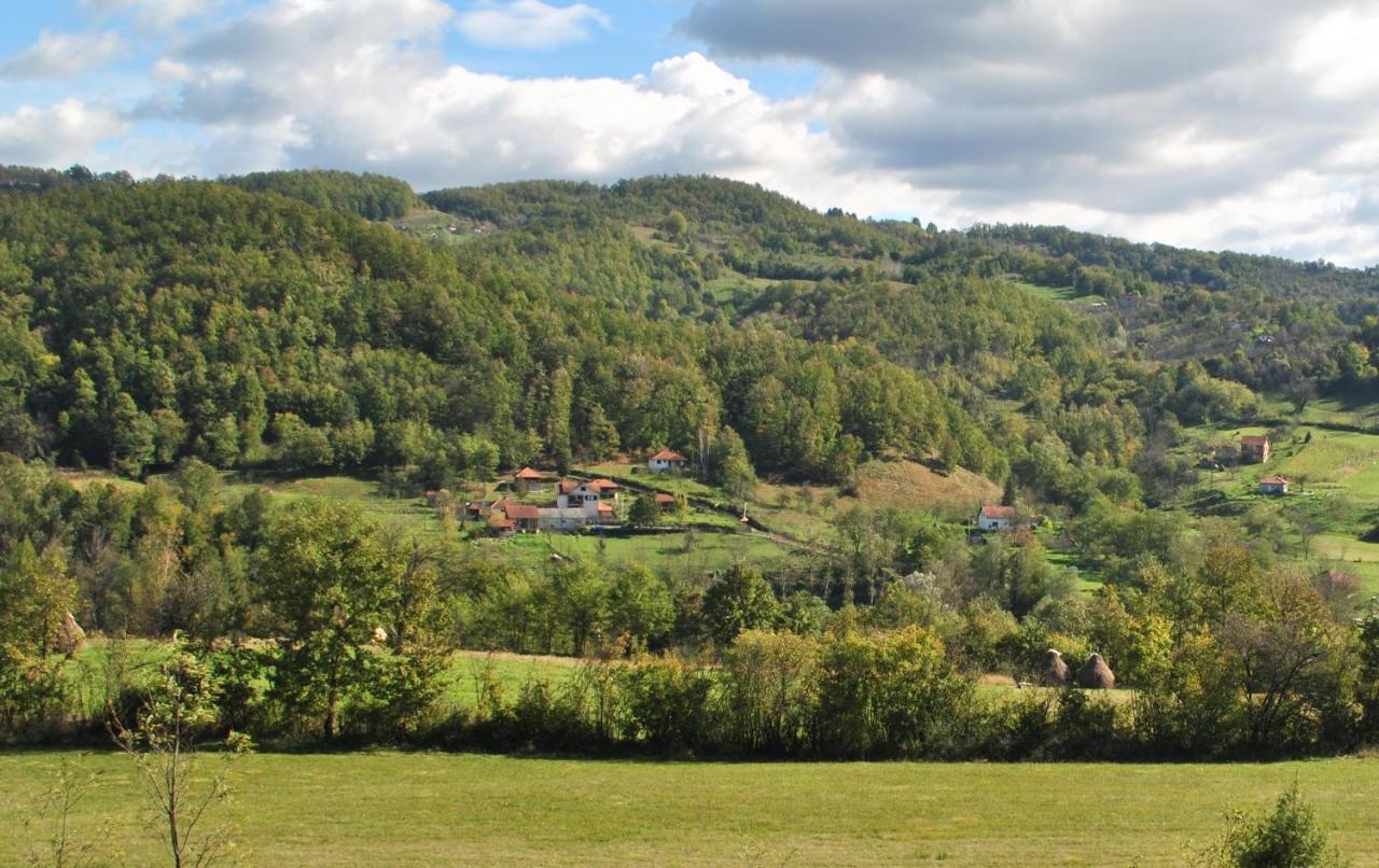Ethno Village Bogut Bogutovac Exteriör bild